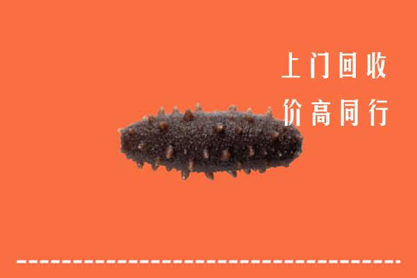 高价求购：佛山回收海参